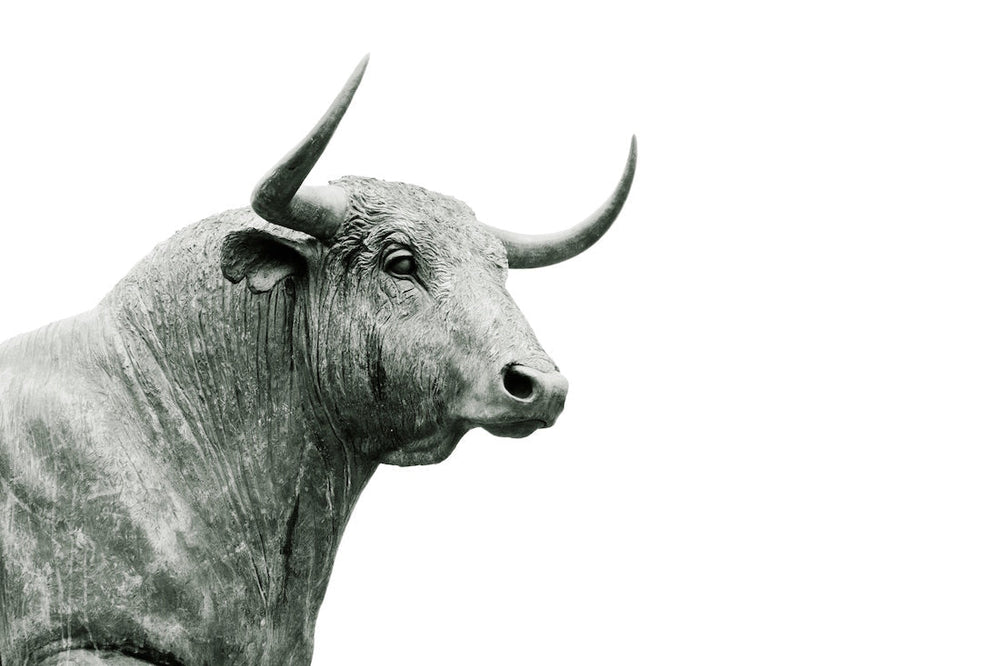 Taurus Full Super Moon 