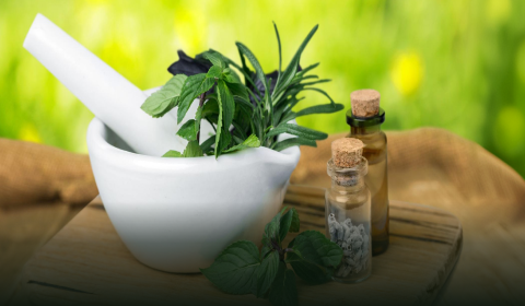 Ayurveda Course - Beginning the Ayurvedic Journey