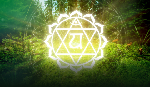 Sacred Yoga Mantras and Chants: Online Course