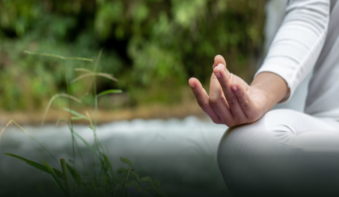 Online Spiritual Life Coach Certification