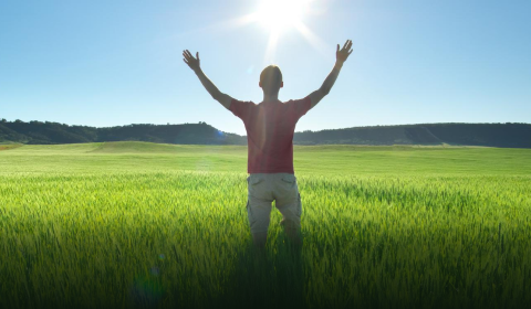 The Craft of Energetics