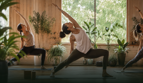 Online Yoga Sequencing: Vinyasa and the Subtle Body